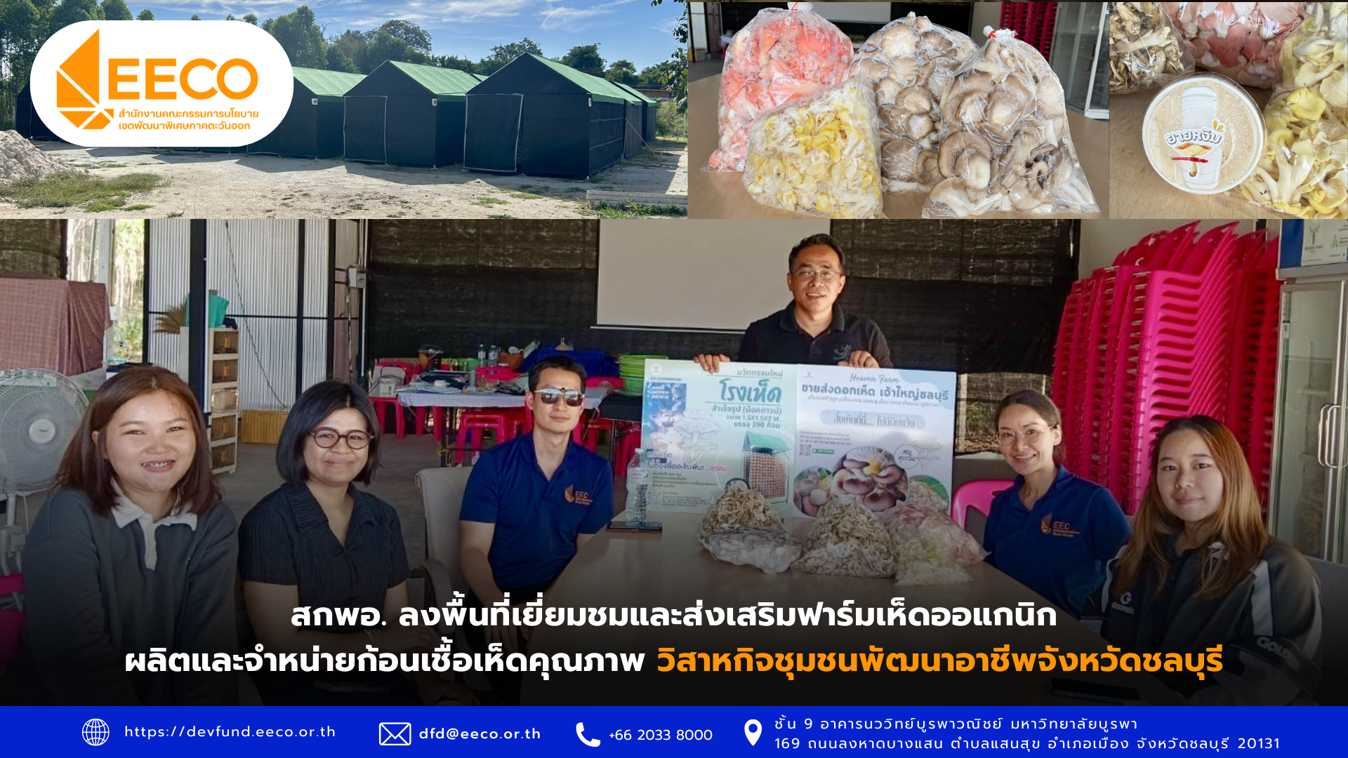 สกพอ. ลงพื้นที่เยี่ยมชมและส่งเสริมฟาร์มเห็ดออแกนิก ผลิตและจำหน่ายก้อนเชื้อเห็ดคุณภาพ วิสาหกิจชุมชนพัฒนาอาชีพจังหวัดชลบุรี